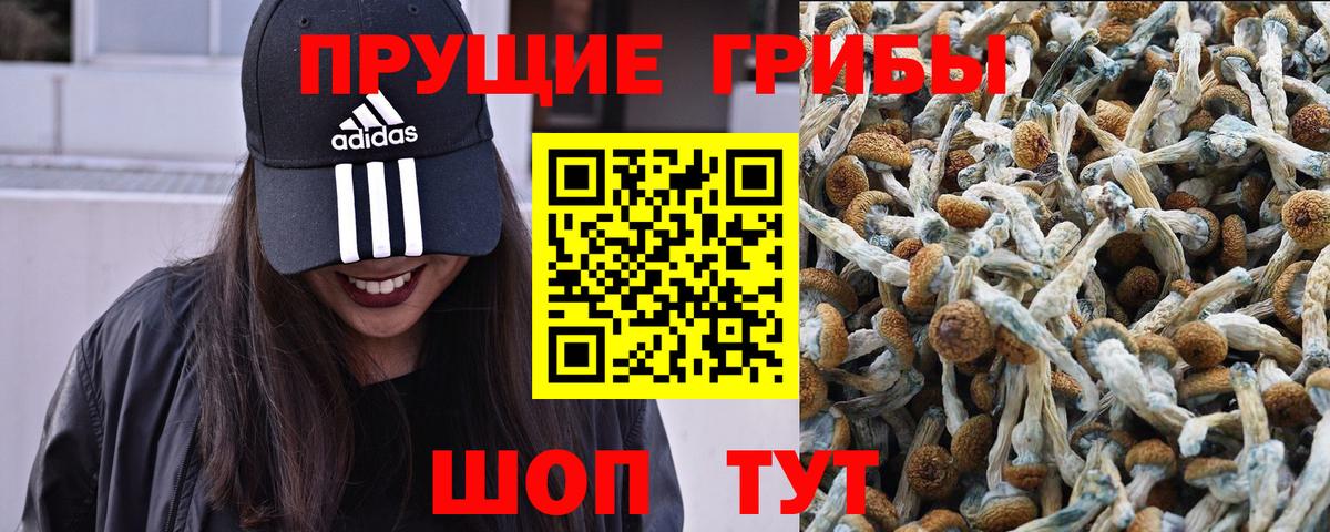 Псилоцибиновые грибы ЛСД Лабытнанги